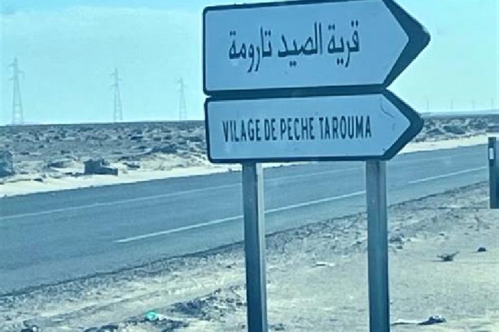Violet, 37 — Escort in Agti el Ghazi, Western Sahara