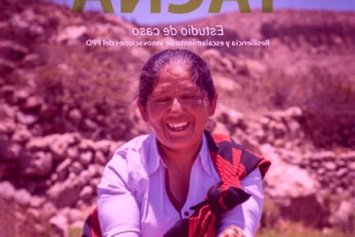 Violet, 37 — Escort in Capaso, Peru