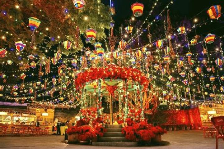 Violet, 37 — Escort in Colonia la Navidad, Mexico