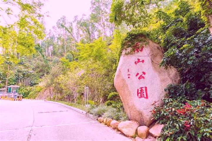 Violet, 37 — Escort in Dananshan, China