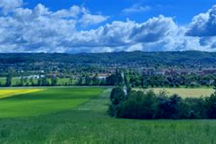 Violet, 37 — Escort in Drohndorf, Germany