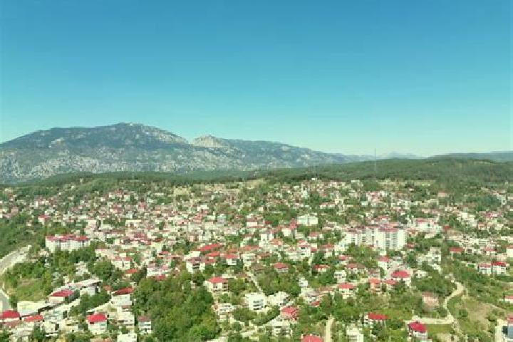 Violet, 37 — Escort in Duezici, Turkey