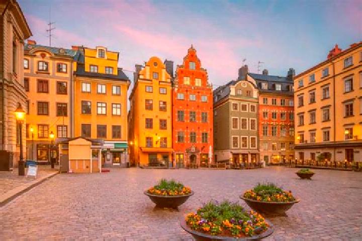 Violet, 37 — Escort in Gamla Stan, Sweden