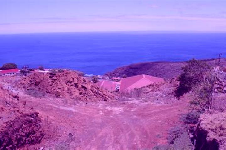 Violet, 37 — Escort in Half Tree Hollow, Saint Helena