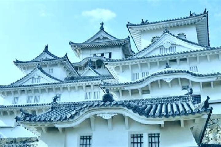 Violet, 37 — Escort in Himeji, Japan