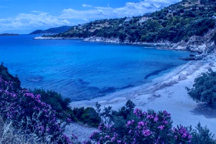 Violet, 37 — Escort in Kato Almyri, Greece