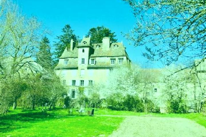Violet, 37 — Escort in Le Brusquet, France