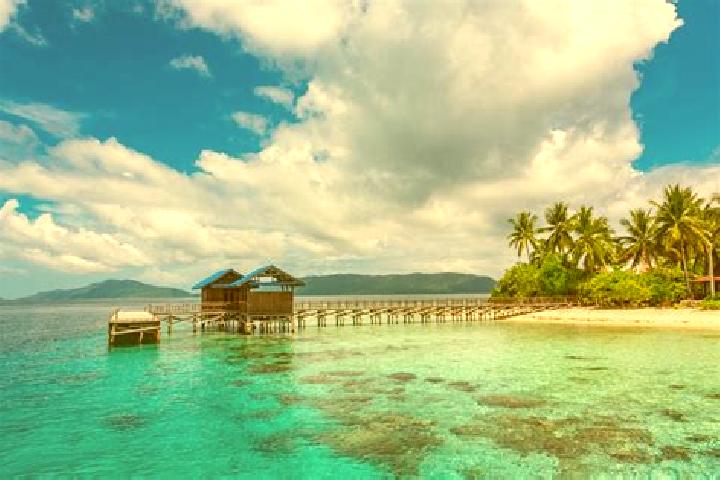 Violet, 37 — Escort in Manokwari, Indonesia
