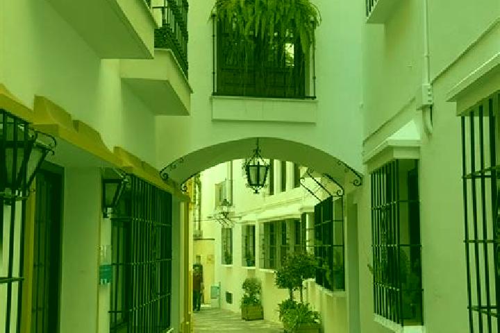 Violet, 37 — Escort in Mentrida, Spain