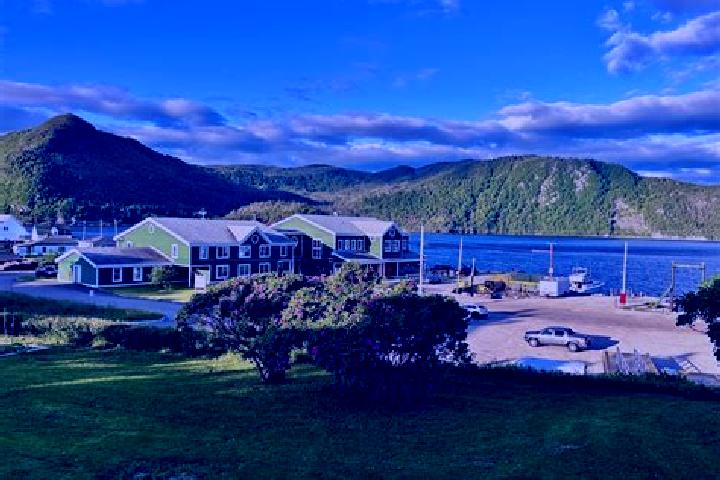 Violet, 37 — Escort in Norris Point, Canada