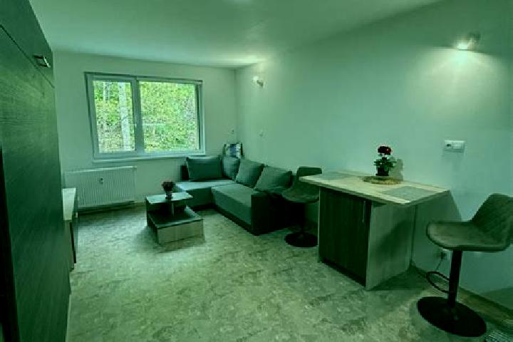 Violet, 37 — Escort in Novy Jachymov, Czech Republic