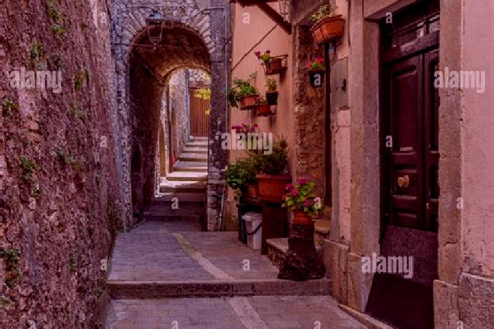 Violet, 37 — Escort in Percile, Italy