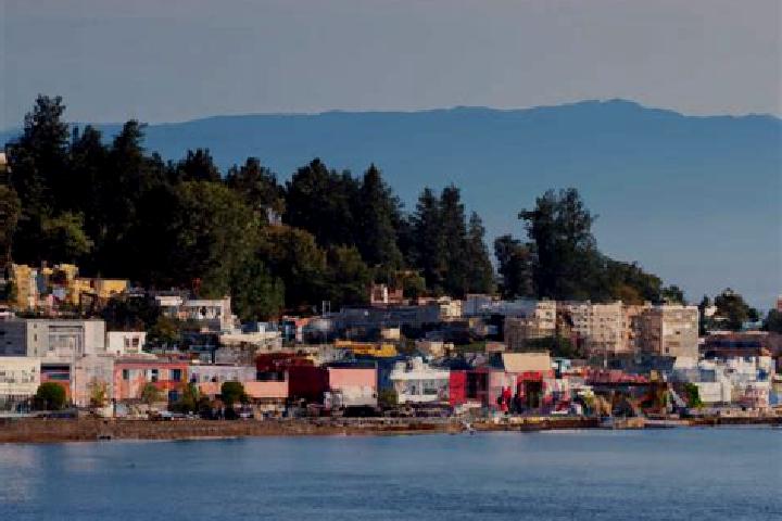 Violet, 37 — Escort in Port Angeles East, United States