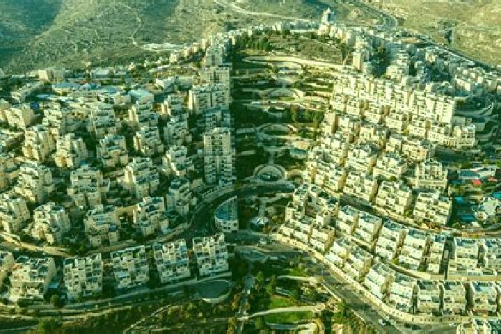 Violet, 37 — Escort in Qalandiya, Palestine