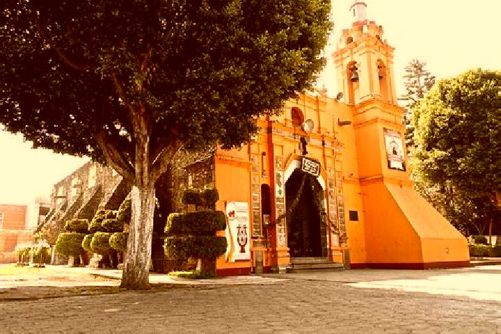 Violet, 37 — Escort in San Miguel Totoltepec, Mexico