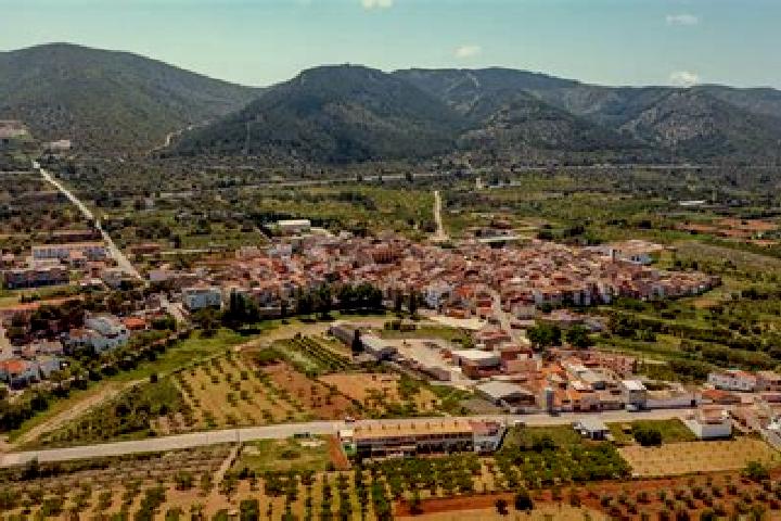 Violet, 37 — Escort in Santa Magdalena de Pulpis, Spain