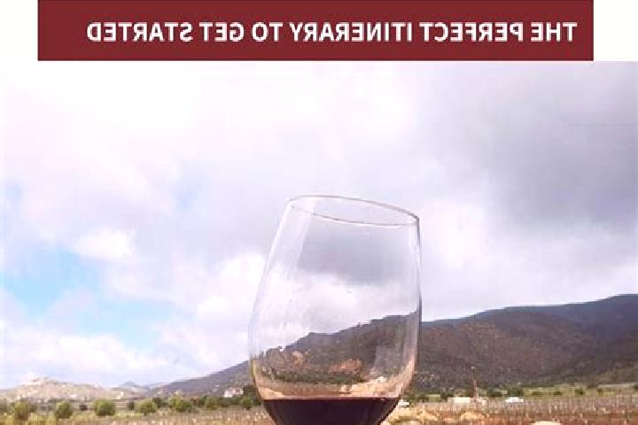 Violet, 37 — Escort in Valle de Vazquez, Mexico