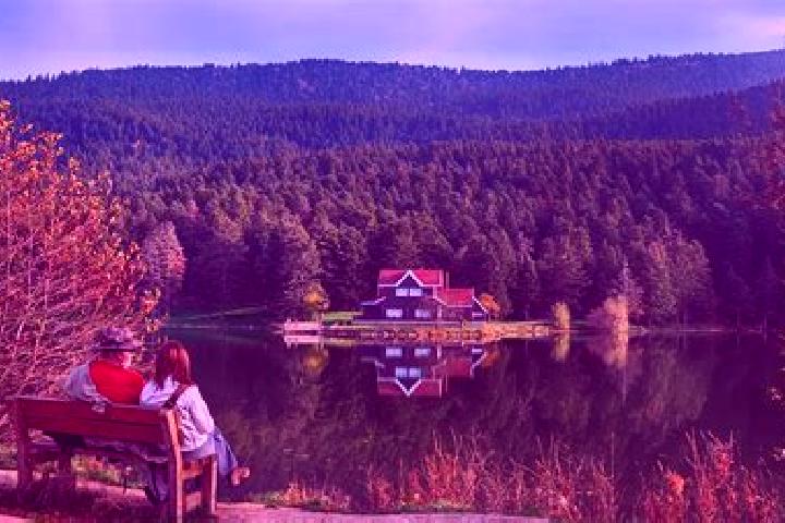 Violet, 38 — Escort in Bolu, Turkey