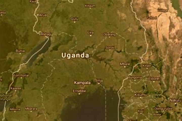 Violet, 38 — Escort in Butebo, Uganda