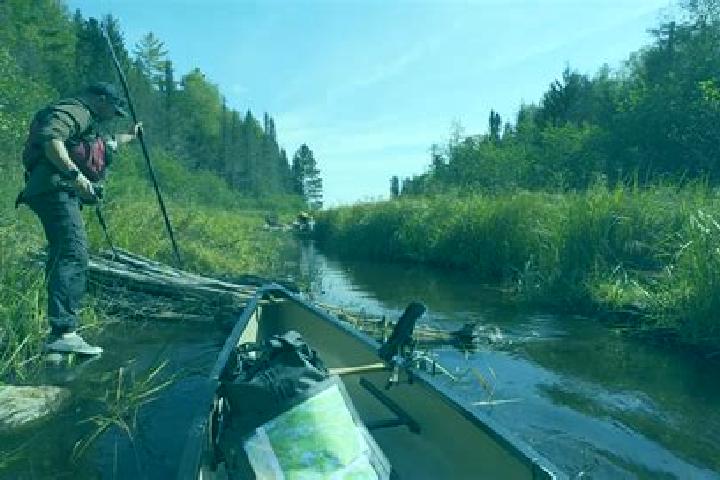 Violet, 38 — Escort in Canoe, Canada