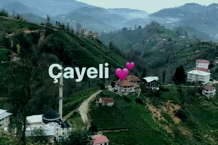 Violet, 38 — Escort in Cayeli, Turkey