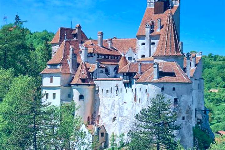 Violet, 38 — Escort in Gornea, Romania