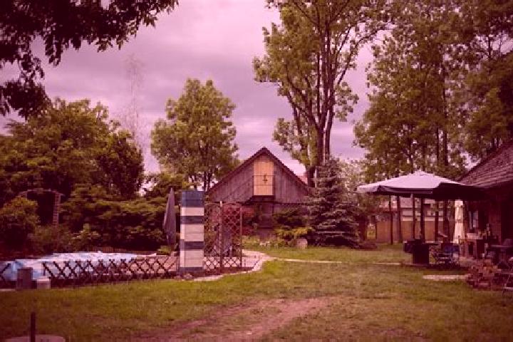 Violet, 38 — Escort in Miechowice Male, Poland