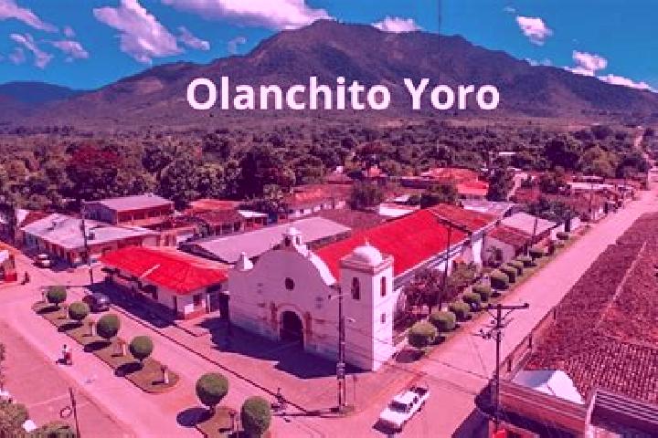 Violet, 38 — Escort in Nueva Sesecapa, Mexico