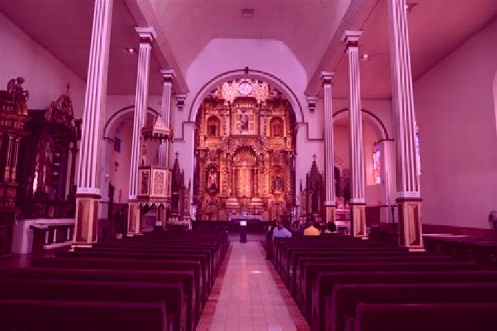Violet, 38 — Escort in San Jose Deguedo, Mexico