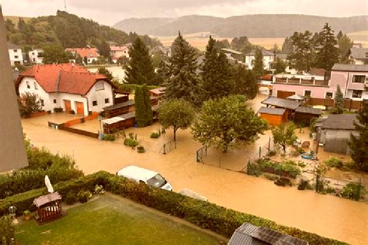 Violet, 38 — Escort in Sieghartskirchen, Austria