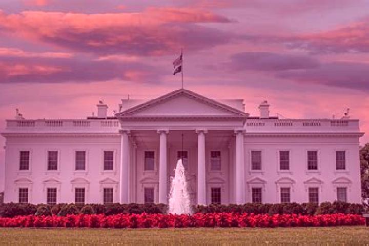 Violet, 38 — Escort in White House, United States