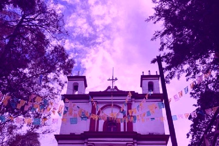 Violet, 39 — Escort in Colonia Guadalupe Victoria (La Capilla), Mexico