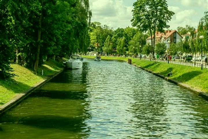 Violet, 39 — Escort in Dobromierz, Poland