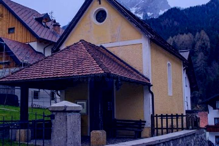 Violet, 39 — Escort in Forni Avoltri, Italy