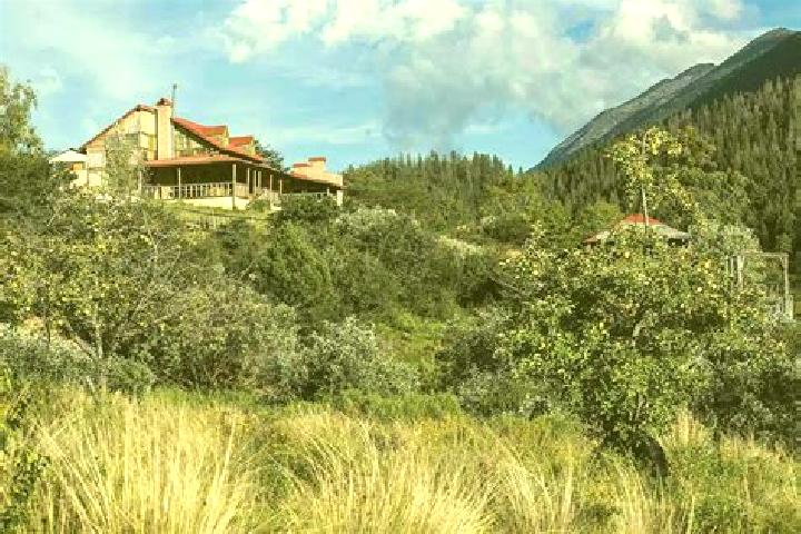 Violet, 39 — Escort in La Yerbabuena, Mexico