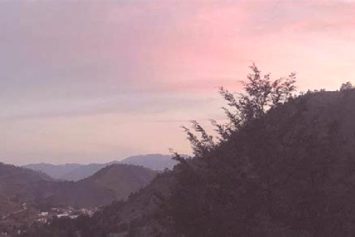 Violet, 39 — Escort in San Andres Zautla, Mexico
