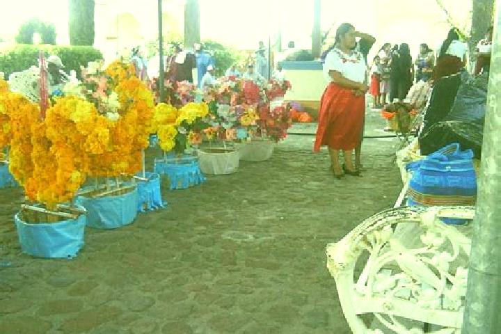 Violet, 39 — Escort in San Dionisio Ocotepec, Mexico