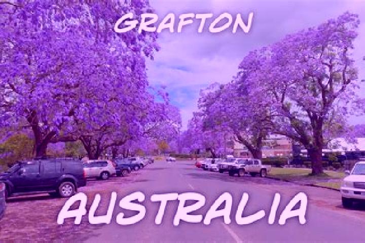 Violet, 39 — Escort in South Grafton, Australia