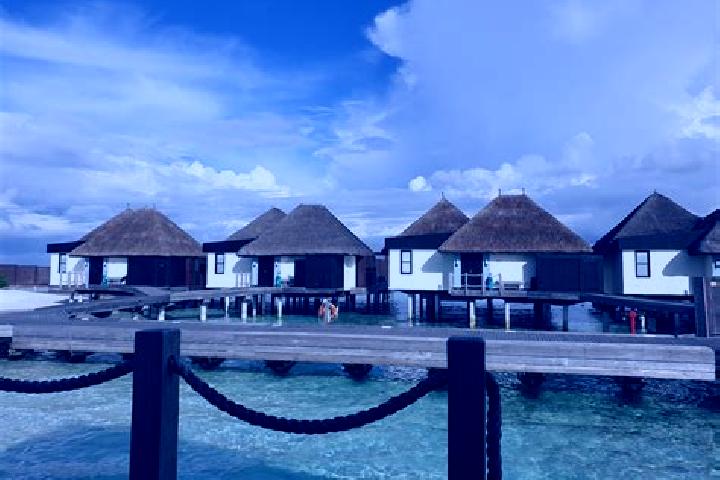 Violet, 39 — Escort in Viligili, Maldives