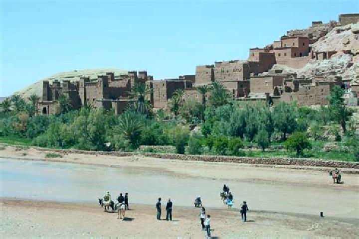 Willow, 20 — Escort in Ait Yazza, Morocco