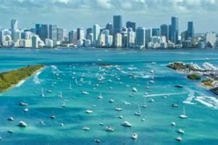 Willow, 20 — Escort in Biscayne Park, United States