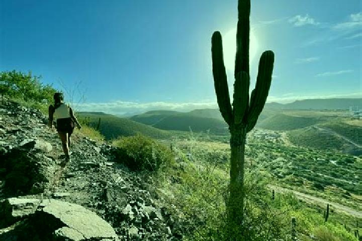 Willow, 20 — Escort in Cerro de la Cruz, Mexico