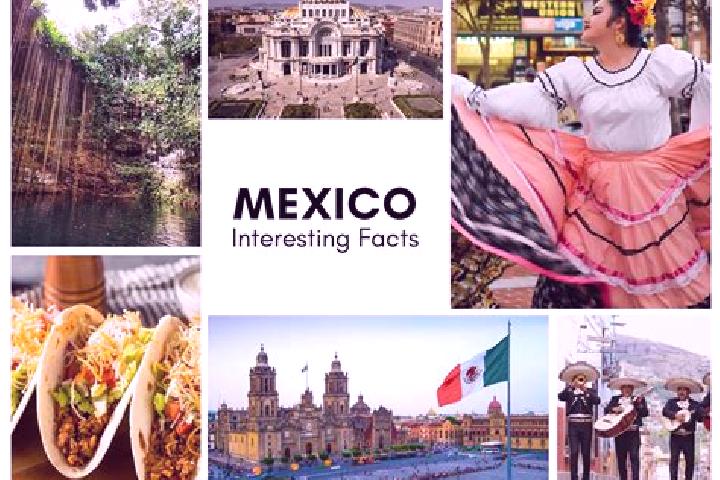 Willow, 20 — Escort in Frontera, Mexico