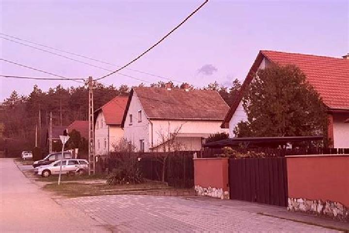 Willow, 20 — Escort in Ganzkertvaros, Hungary