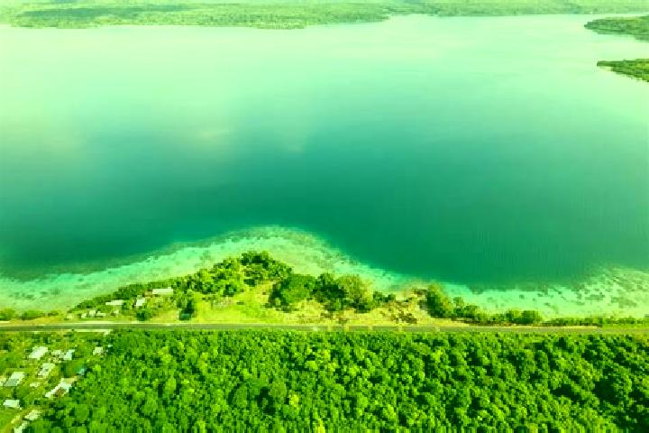 Willow, 20 — Escort in Hog Harbour, Vanuatu