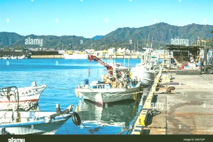 Willow, 20 — Escort in Kadogawa, Japan