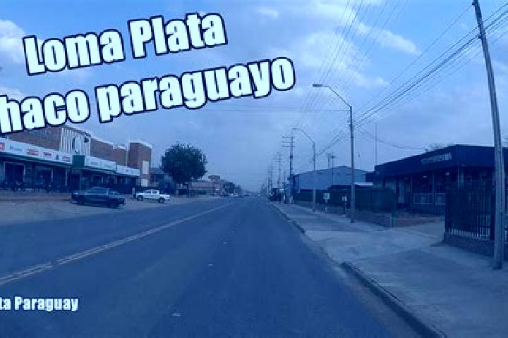 Willow, 20 — Escort in Loma Plata, Paraguay