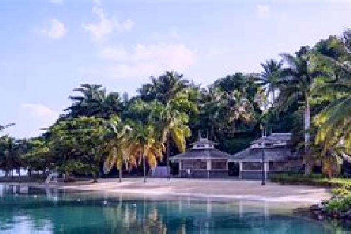 Willow, 20 — Escort in Port Antonio, Jamaica