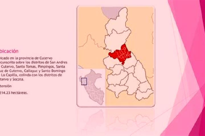 Willow, 20 — Escort in San Andres de Cutervo, Peru