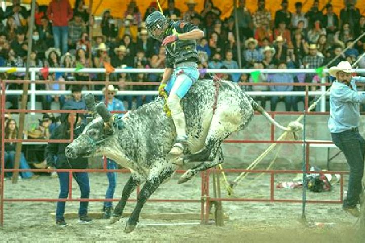 Willow, 20 — Escort in San Juan Jaripeo, Mexico